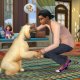 Electronic Arts The Sims 4 Plus Cats & Dogs Bundle, PC Standard+Componente aggiuntivo Inglese 3
