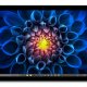 Microsoft Surface Pro 4 128 GB 31,2 cm (12.3