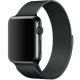 Apple MLJH2ZM/A accessorio indossabile intelligente Band Nero Acciaio inox 5
