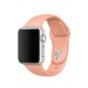 Apple Cinturino Sport rosa flamingo (38 mm) 3