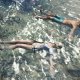 Square Enix Final Fantasy XIV : Stormblood Standard Tedesca, Inglese, Francese, Giapponese PlayStation 4 21