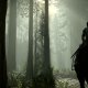 Sony PS4 Shadow of the Colossus 3