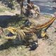 Sony Monster Hunter: World, PS4 Standard Inglese PlayStation 4 4