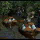 Warner Bros LEGO: Jurassic World, PS4 Standard Inglese PlayStation 4 8