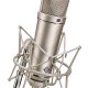 Neumann U 87 Ai Nichel Microfono per palco/spettacolo 2