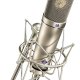 Neumann U 87 Ai Nichel Microfono per palco/spettacolo 3