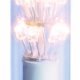 Best 359-16 lampada LED Chiara 2600 K 1,5 W E14 2