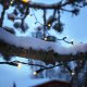 Star Trading 491-00 striscia luminosa LED 5000 mm 13