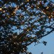 Star Trading 491-00 striscia luminosa LED 5000 mm 17