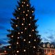 Star Trading 491-00 striscia luminosa LED 5000 mm 20