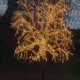 Star Trading 491-00 striscia luminosa LED 5000 mm 10