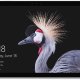 Microsoft Surface Pro 4G LTE 256 GB 31,2 cm (12.3