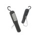 Electrolux RX9041 torcia di ispezione 2