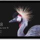Microsoft Surface Pro 4G Intel® Core™ i5 LTE 128 GB 31,2 cm (12.3