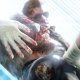 Konami Metal Gear Solid V : The Definitive Experience Standard Tedesca, ESP, Francese, ITA, Giapponese, Portoghese, Russo PlayStation 4 21
