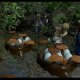 Warner Bros. Games LEGO Jurassic World 10