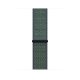 Apple MRPF2ZM Band Verde Nylon 2