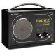 Pure Evoke Flow Portatile Digitale Nero 2