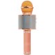 Xtreme Hollywood Rose Gold, Argento Microfono per karaoke 3