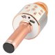 Xtreme Hollywood Rose Gold, Argento Microfono per karaoke 4