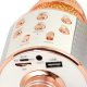 Xtreme Hollywood Rose Gold, Argento Microfono per karaoke 5