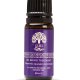 GA.MA Piastra Elegance Argan: elimina l'effetto crespo dei capelli, trafile lunghe in tormalina, liscio a lungo in poco tempo, capelli protetti, riscaldamento istantaneo, temperatura regolabile e disp 4