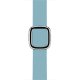 Apple MME62ZM/A accessorio indossabile intelligente Band Blu Pelle 6