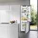 Liebherr CNef 4825 Libera installazione 356 L Argento 4