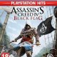 Ubisoft Assassin's Creed IV : Black Flag - PLAYSTATION HITS 2