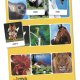 Clementoni Sapientino - La Tombola Degli Animali 3