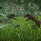 PLAION Jurassic World Evolution, Xbox One Standard ITA 3