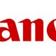 Canon Custodia DCC-CP2 - Beige 2