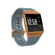 Fitbit Ionic 3,61 cm (1.42