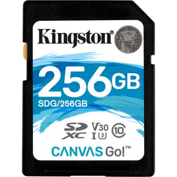 Kingston Technology Canvas Go! 256 GB SDXC UHS-I Classe 10