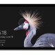 Microsoft Surface Pro Intel® Core™ i5 256 GB 31,2 cm (12.3