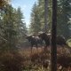 THQ Nordic theHunter : Call of The Wild - 2019 Edition - Game of the Year Edition PlayStation 4 7