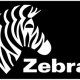 Zebra Z-Perform 1000T Bianco 2