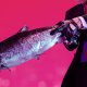 Warner Bros HITMAN 2 7