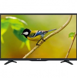 Arielli LED-24DN6T2 TV 61 cm (24") HD Nero