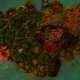 THQ Nordic Jagged Alliance: Rage! 5