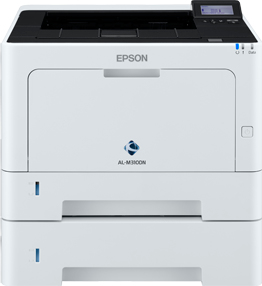 Epson WorkForce AL-M310DTN