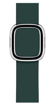Apple MTQJ2ZM/A accessorio indossabile intelligente Verde Pelle
