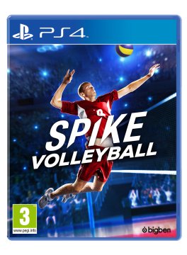 Sony PS4 Spike Volleyball