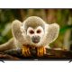 TCL 40ES560 TV 101,6 cm (40