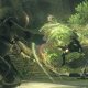 Square Enix NieR : Automata - Game Of The YoRHa Edition Game of the Year Tedesca, Inglese, ESP, Francese, ITA, Giapponese PlayStation 4 22