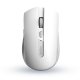 Rapoo 7200M mouse Ambidestro RF senza fili + Bluetooth Ottico 1600 DPI 2