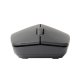 Rapoo M100 Silent mouse Ufficio Ambidestro RF senza fili + Bluetooth Ottico 1000 DPI 5