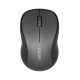 Rapoo M260 mouse Ufficio Ambidestro RF senza fili + Bluetooth Ottico 1300 DPI 2