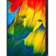 Lenovo ThinkVision T24m LED display 60,5 cm (23.8