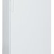 Liebherr BG 5040 Congelatore ad armadio 378 L Libera installazione 3